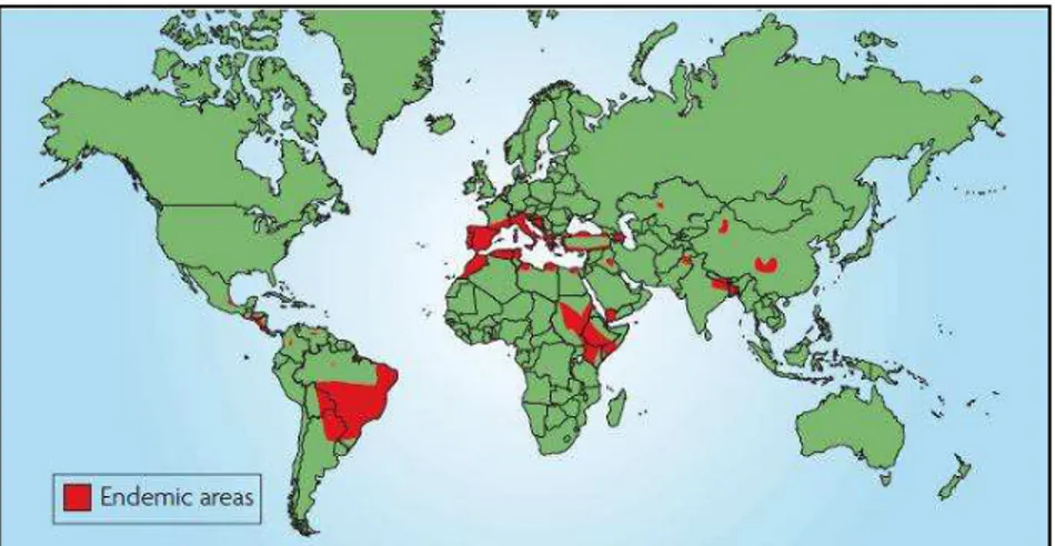 Figura 8  – Distribuição geográfica da Leishmaniose Visceral no mundo com destaque para as  áreas endêmicas