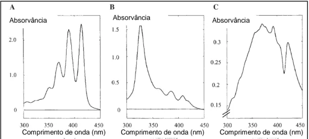 Figura 12  – Perfil do espectro de absorção dos diferentes estados de agregação da anfotericina  B
