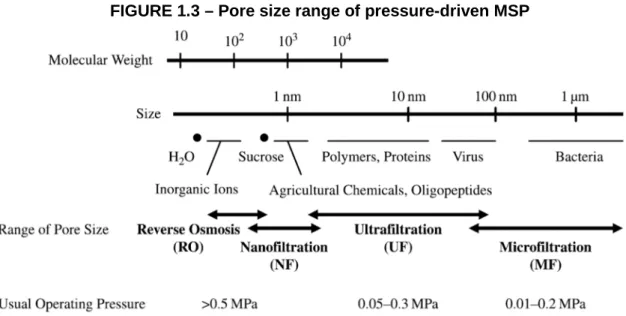 FIGURE 1.3 – Pore size range of pressure-driven MSP 