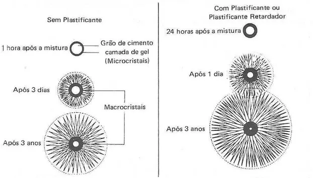 FIGURA 2.5 – Seqüência de hidratação e endurecimento na pasta de cimento  Fonte: BAUER, 1994