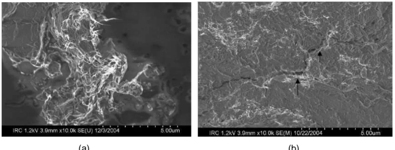 FIGURA 2.21 – (a) Distribuição de feixes de nanotubos de carbono em uma amostra de cimento não  hidratada