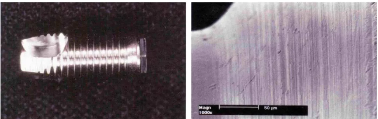 Figura 1 – Visão macroscópica de implante rosqueado de superfície lisa. 