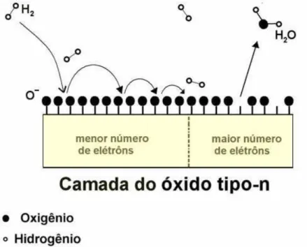 Figura 1.3: Camanada de oxido do tipo-n. Ilustrando uma das formas que as mol´eculas de H 2