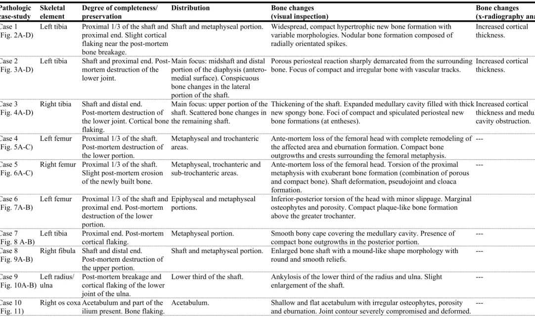 Table 1. Descriptive summary of cases: completeness, preservation, and the main pathological bone changes.