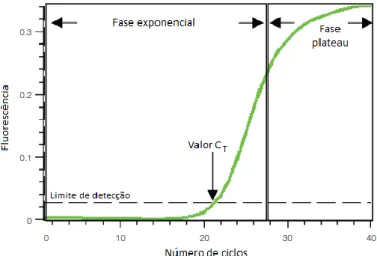 Figura 9 – Gráfico de amplificação da PCR em Tempo Real. 