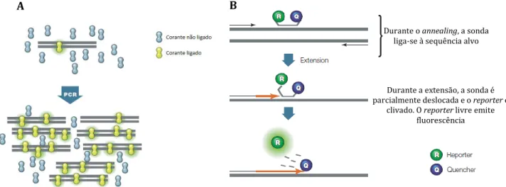 Figura 10 – Esquema ilustrativo de dois grandes métodos químicos de fluorescência. 