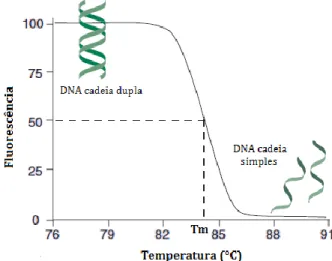 Figura 11 – Figura ilustrativa de uma curva de Melting. 