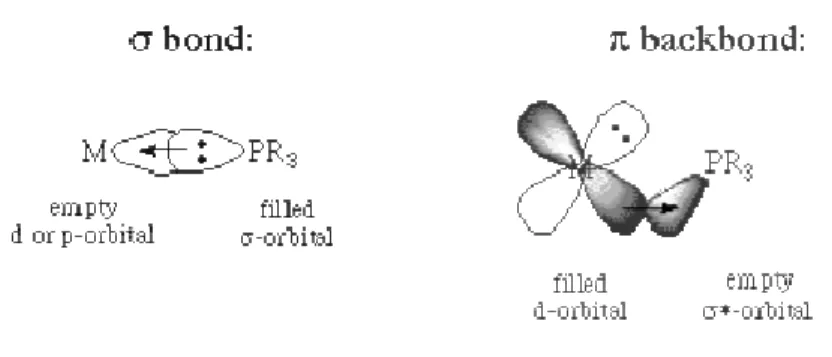 Figure 1.2 – Components of bonding in phosphine ligan