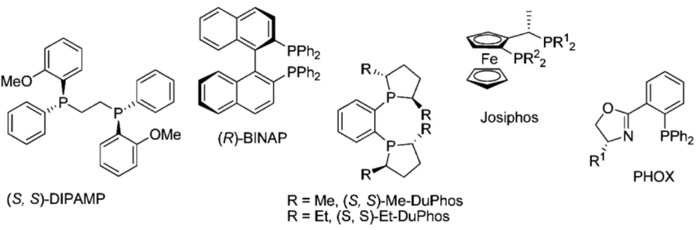 Figure 1.6 – “Privileged” phosphine ligands in catalysis. 