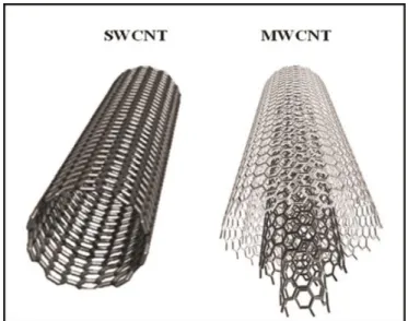 Figura  8  -  Nanotubo  de  parede  única  (SWNT’s)  à  esquerda  e  nanotubo  de  parede  múltipla à direita (MWCNT’s)