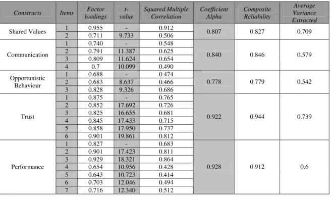 Table 3.3 - Results from the Confirmatory Factor Analysis