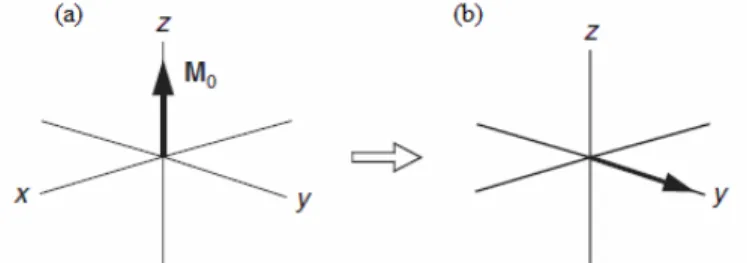 Figura  6.  Magnetização  resultante  (M 0 ):  (a)  no  eixo  z,  em  equilíbrio  e  (b)  após  o  pulso  de  90º  (Adaptada de 21)