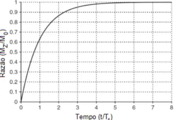 Figura  7.  Aumento  exponencial  da  razão  M z /M 0   de  acordo  com  o  tempo  de  relaxação  (T 1 )  (Adaptado da ref