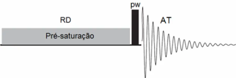 Figura 8. Seqüência de pulsos da pré-saturação, RD= tempo de espera da relaxação, pw= largura  do pulso e AT = tempo de aquisição (Adaptado da ref