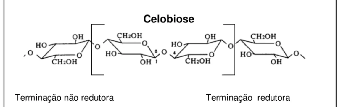 Figura 3. Resíduos de celobiose na cadeia de celulose. Fonte: Gama, 1996. 
