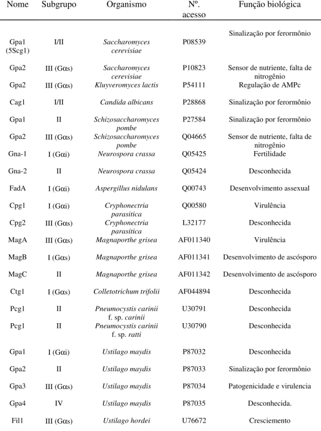 Tabela 2. Genes de proteínas Gα já clonados de fungos. Adaptado de Bolker (1998) e  Schmoll (2008)