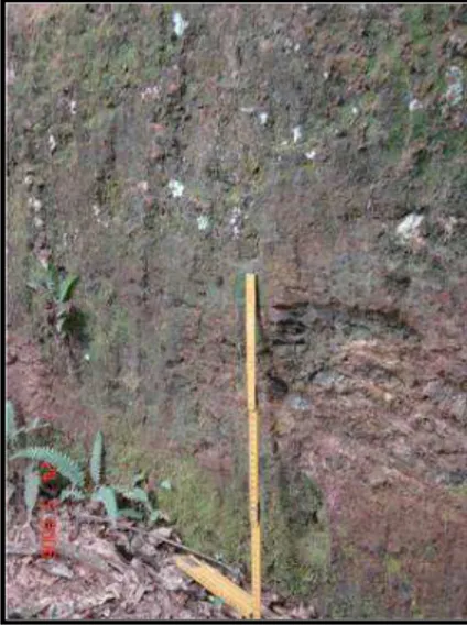 Figura 10  – Fotografia de canal escavado na rocha  com marcas das  ferrament as utilizadas