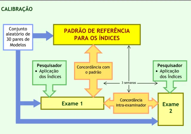 FIGURA 2 ã Fluxograma da metodologia da calibração.