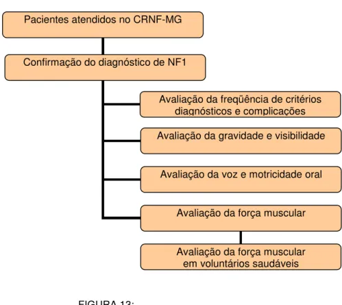 FIGURA 13:   Esquema geral do estudo  Pacientes atendidos no CRNF-MG 