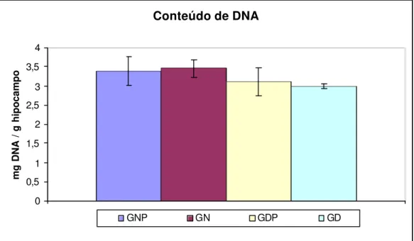 Figura 10. Conteúdo de DNA do hipocampo dos animais GNP (grupo  normonutrido induzido ao SE pela pilocarpina), GN (grupo normonutrido controle),  GDP (grupo desnutrido induzido ao SE pela pilocarpina) e GD (grupo desnutrido  controle) ao sacrifício