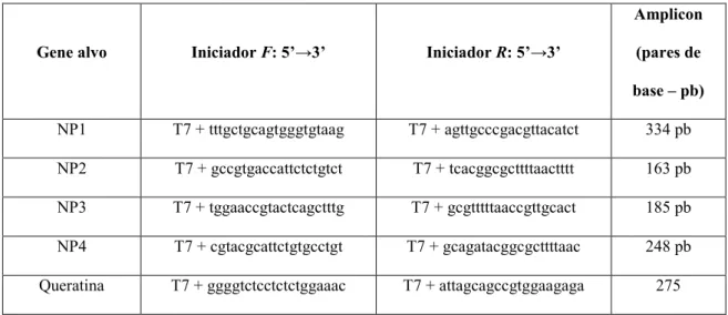 Tabela 1. Sequencias dos iniciadores utilizados nos experimentos de PCR (molde para 