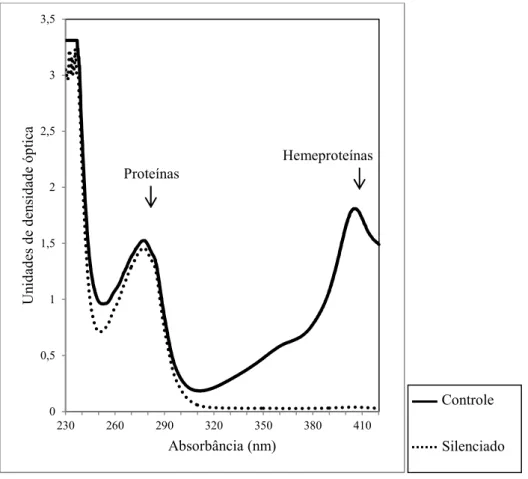 Fig. 3. Estimativa de hemeproteínas e proteína total na glândula salivar de adultos de 