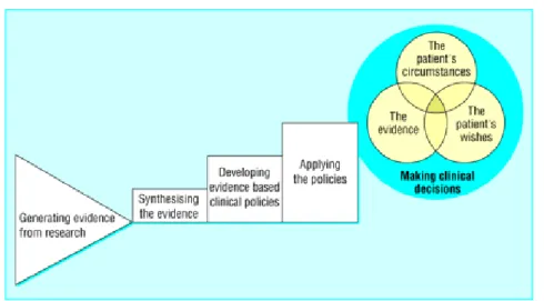 Ilustração 3- Esquema resumo do modelo a percorrer para a obtenção da evidência  científica  