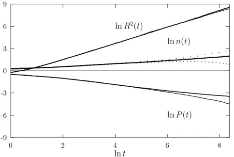 Figure 4.3: Log-log plots of P (t), n(t) and R 2 (t) versus t for x = 0.02. In each plot,