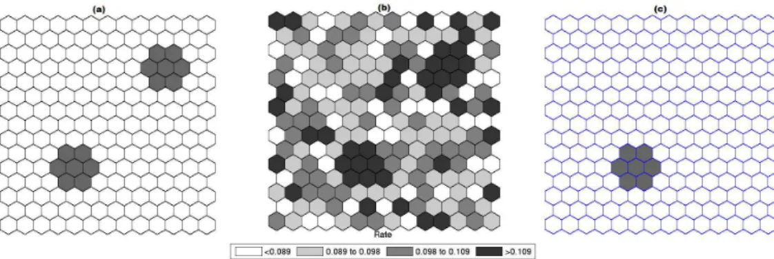 Figure 3.7: A double circularly shaped true artificial cluster with very high relative risk (a), the random generated cases map of rates (b), and the cluster detected by the circular scan (c).