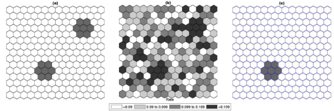 Figure 3.9: A double circularly shaped true artificial cluster with moderately high relative risk (a), the random generated cases map of rates (b), and the cluster detected by the circular scan (c).