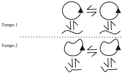Figura 2: relações co-ontogênicas no tempo (adaptado de Maturana y Mpodozis, 1992)