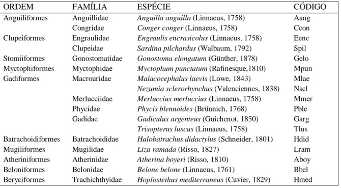 Tabela 3.1 – Lista dos taxa representados pelos otólitos asteriscus utilizados no presente estudo segundo a classificação de  Nelson, 2016