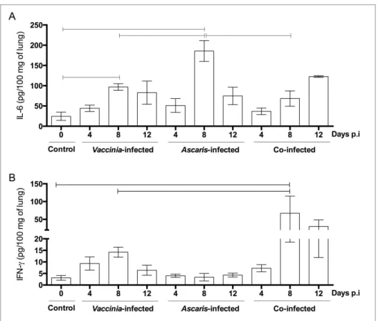 Figura 6: Produção de IL-6 e IFN- γ nos pulmões de camundongos não infectados,  monoinfectados por VACV, monoinfectados por A