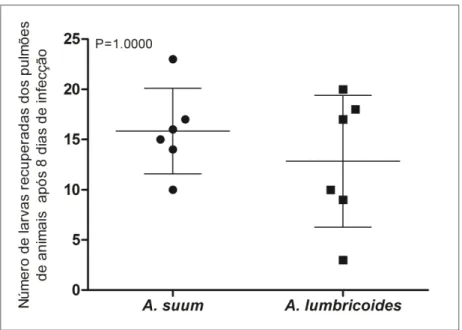 Figura  5:  Comparação  entre  infecção  experimental  por  Ascaris  suum  e  Ascaris  lumbricoides