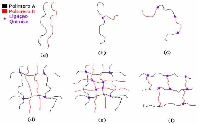Figura 3. 17 – Ilustração dos seis modos básicos de se ligar dois ou mais polímeros.      (a) Blenda – Constitui-se de um mistura mecânica, mas sem ligação química