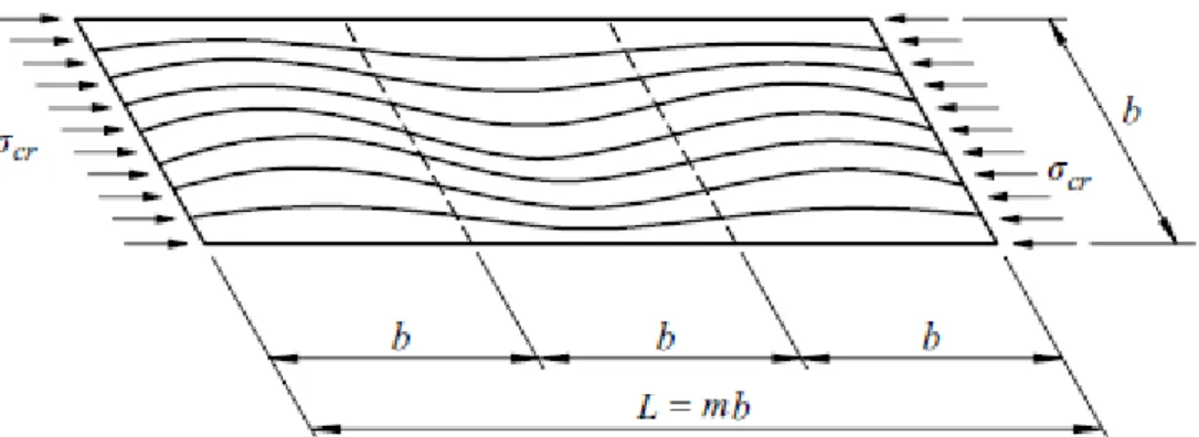 Fig. 2.25 – Deformada de encurvadura de uma placa longa simplesmente apoiada no seu perímetro sujeita a  compressão pura (Trahair et al, 2008) 