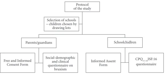 Figure 1. Protocol of the study.