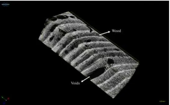 Figure 2: Reconstructed 3D object showing the parameters of interest: wood and voids. 