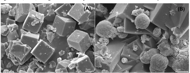 Figura 3.5 (A e B)- Imagem de microscopia eletrônica de varredura da obtenção das zeólitas