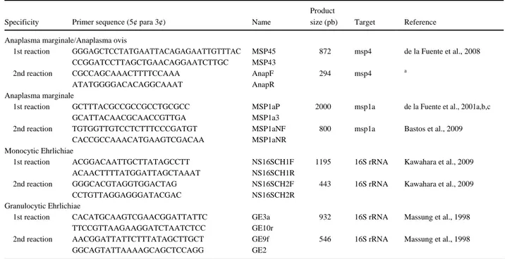 Table 2.  Specific  primers for the detection of species of the Anaplasmataceae