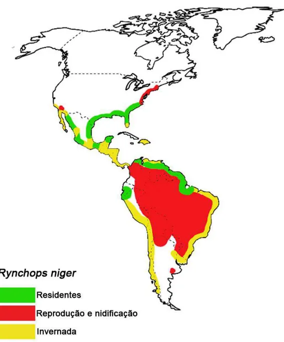 Figura 8. Mapa de distribuição e ocorrência de R. niger: as áreas marcadas de verde representam regiões 