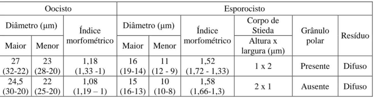 Tabela  6.  Dados  morfométricos  dos  oocistos  de  Isospora  de  Gnorimopsar  chopi  provenientes  do 