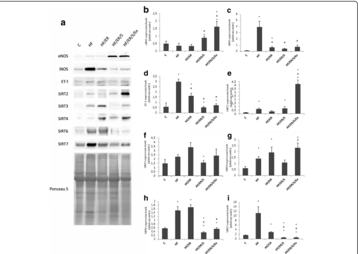 Fig. 5 Semiquantification of protein expression levels of the eNOS, iNOS, ET-1, and SIRT2,3,4,6 and 7 by western blotting