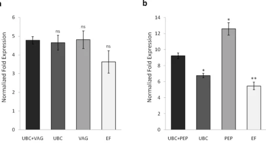 Figure 3. Differential gene expression of PAL in grapevine leaves induced by (a) wounding and (b) UV-C irradiation
