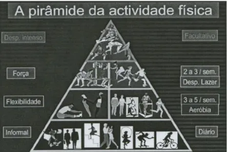 Figura 1. Pirâmide de Actividade Física (Barata, 2009) 