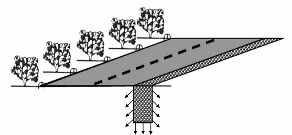 Figura 2.2 – Ilustração de trincheiras de infiltração. 