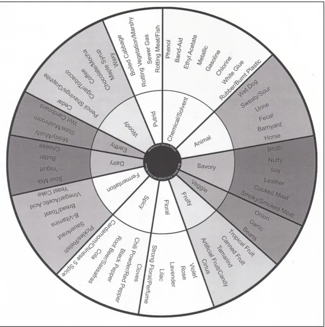 Fig. 3: Brett aroma wheel developed by Bisson &amp; Joseph (Adams, 2013) 