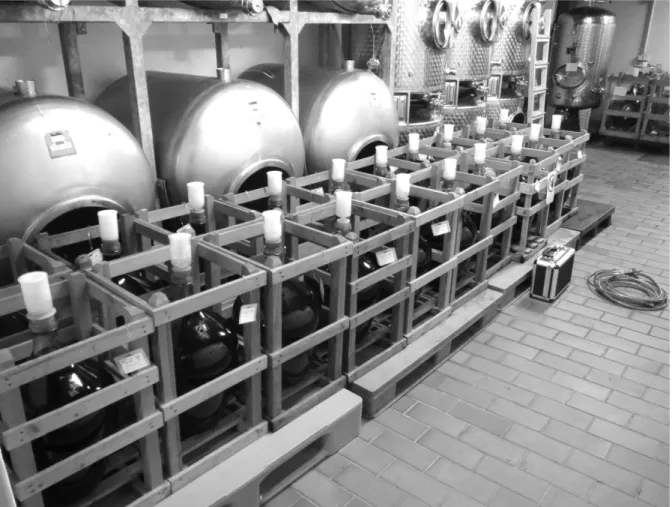 Fig. 6: Tank set-up in the cellar of the University of Geisenheim 