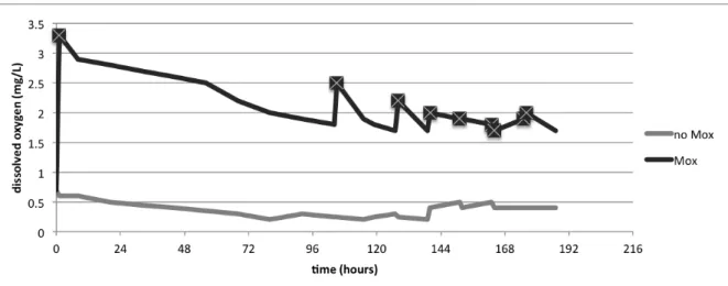 Fig.  9:  Disolved  oxygen  in  tanks  with  and  without  microoxygenation  application  (crossed  boxes correspond to MOX applications) 