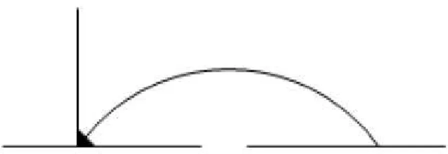 Figura 1  – Esquema de relação núcleo-satélite 